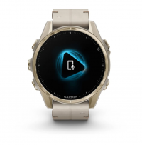 Garmin Fenix 8 - 43 mm Amoled - 010-02903-40