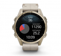 Garmin Fenix 8 - 43 mm Amoled - 010-02903-40