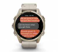 Garmin Fenix 8 - 43 mm Amoled - 010-02903-40