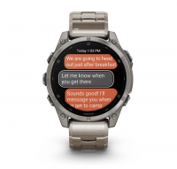 Garmin Fenix 8 - 47 mm Amoled - 010-02904-40