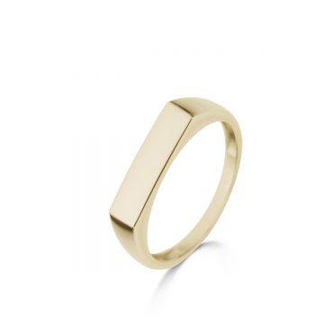 Juwelier Vanquaethem Ring - Goud 18 karaat - Zegelring