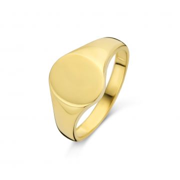 Juwelier Vanquaethem Ring - Goud 18 karaat - Zegelring