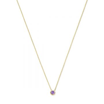 Swing Jewels Ketting - Geboortesteen - Amethyst - SWBN01FEB-Y-18