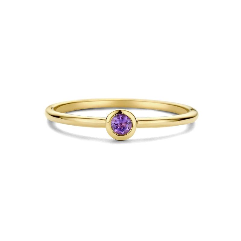 Swing Jewels Ring - Geboortesteen - Amethyst - SWBR01FEB-Y-18