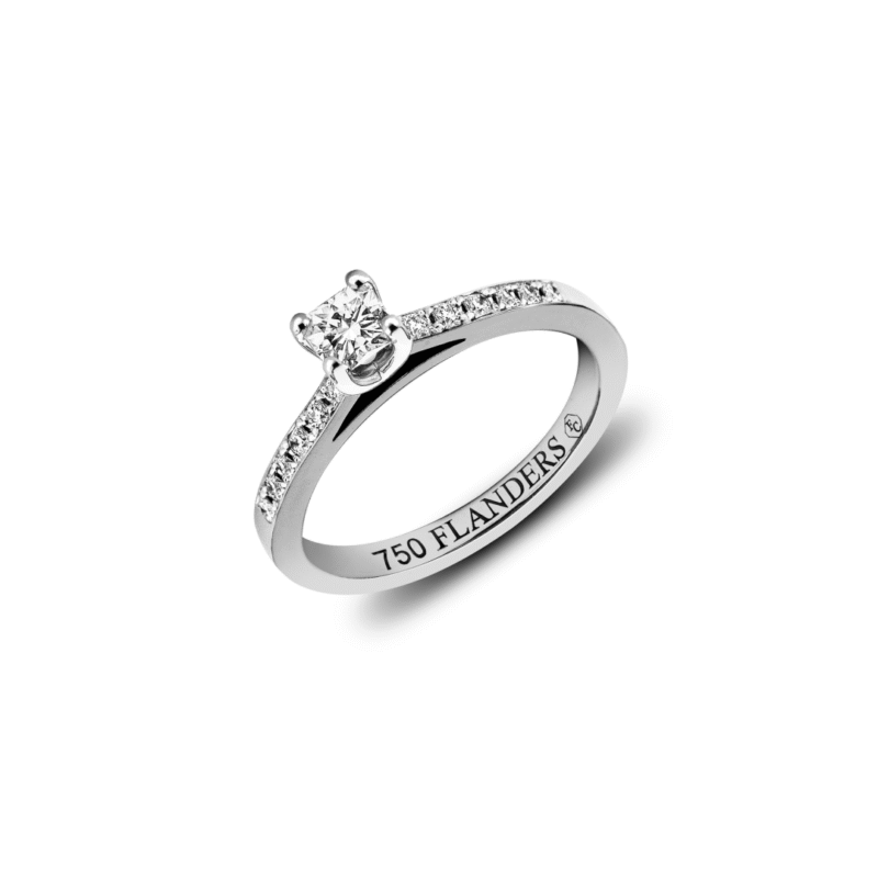 Flanders Ring 111B