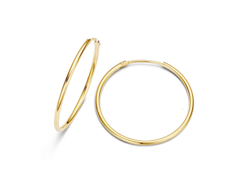 VQ Oorbellen GO2504G20